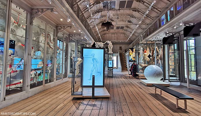 Multisensory installation at the Artis Groote Museum in Amsterdam combining sound, light, and interactive elements to explore human and natural connections


