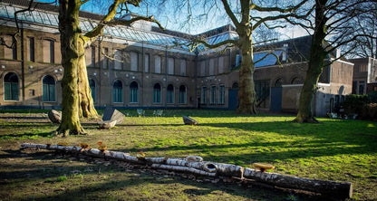 Dordrechts Museum View of the outside view with green garden and winter sunny day