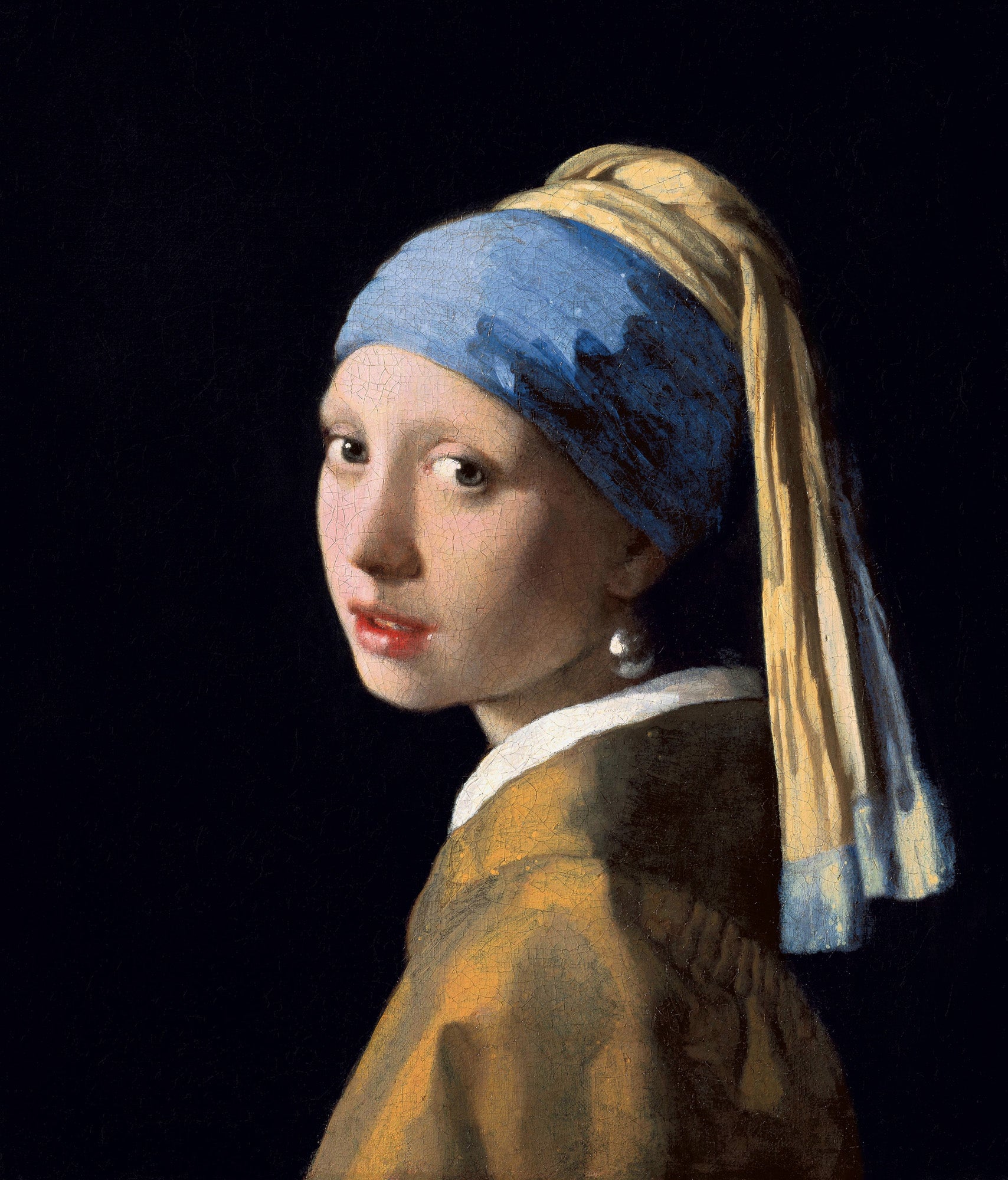 The Mauritshuis The Hague - Holland Heritage